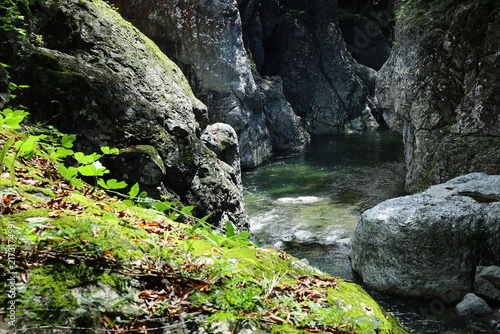 猿飛千壺峡の景色