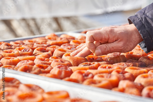 Traditional Korean handmade dried persimmons (Gotgam) naturally aging and fermenting under the sun and wind near Jirisan Mountain during late autumn