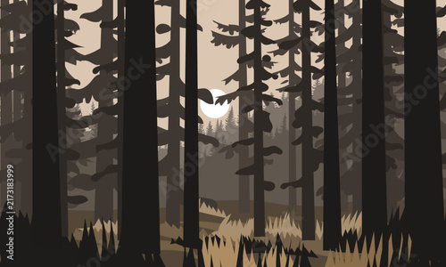 Tall trees stand in a misty forest