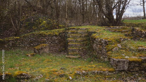 Konstfotografi Escalier en pierre ancien et muret en ruine envahis par la mousse