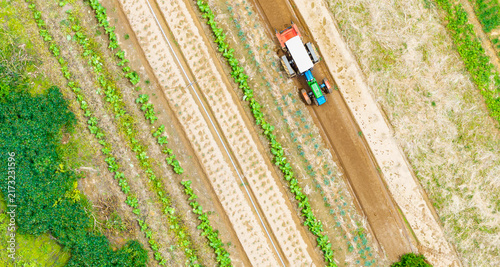 Konstfotografi Aerial view of the Sucupira Experimental Farm, where agronomic research is conducted without the use of pesticides on fields planted with enriched cereal and vegetable seeds