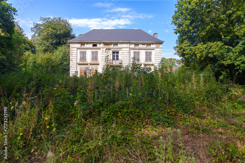 Bild auf Leinwand Urbex d'un manoir ou château ancien abandonné partiellement masquée par de hautes herbes et une végétation dense en friche