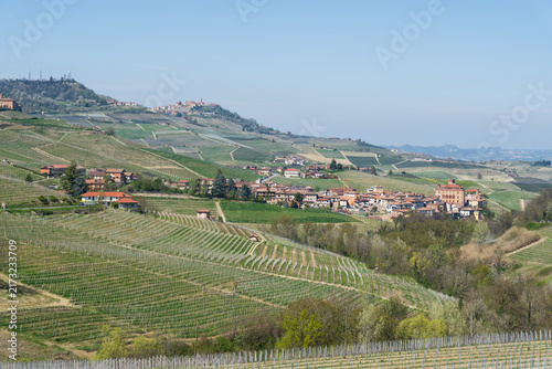 Novello Vineyards and Hilltop Villages in Piedmont