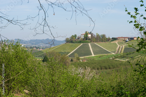 Photography Grinzane Cavour vineyard hills and country estate