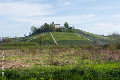 Canvastavla Grinzane Cavour hilltop estate above spring vineyards