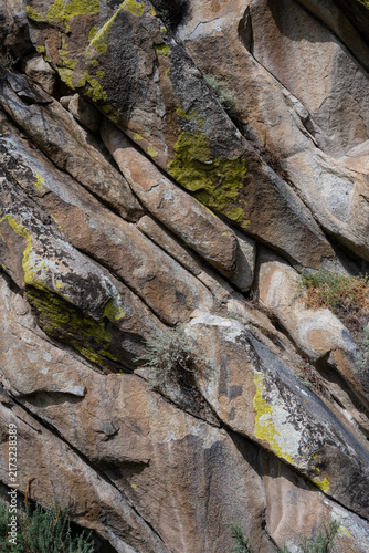 The background consists of large stones on a hill, covered with steppe vegetation and moss.