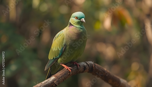 A beautiful green pigeon perched on a dry tree branch in a lush tropical forest, surrounded by soft natural light and blurred foliage. Wildlife and nature concept with a peaceful tropical atmosphere.