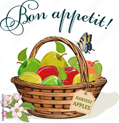 Multicolored apples in a wicker basket.Color vector illustration of multicolored apples in a wicker basket on a transparent background with text.