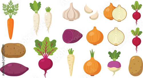 Colorful Root Vegetable and Bulb Collection Featuring Carrots, Radishes, Turnips, Garlic, Onions, Potatoes, Beets, and Sweet Potatoes