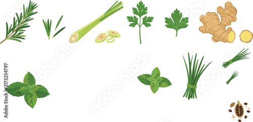 Fresh Culinary Herb and Spice Collection with Rosemary, Lemongrass, Parsley, Ginger, Mint, Chives, and Natural Seasoning Ingredients