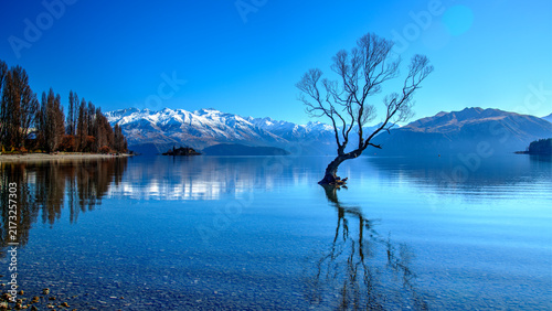 Canvastavla Lake Wanaka, South Island, New Zealand