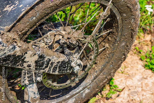 Quadro su tela Close-up of a mud-caked electric fat bike rear wheel, showing debris and grass s