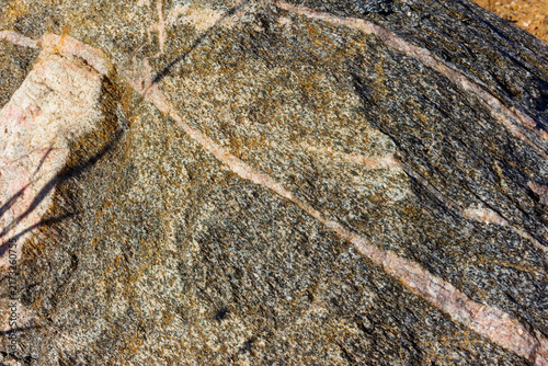 Bild auf Leinwand Large migmatite boulder featuring intricate granite gneiss textures and quartz v