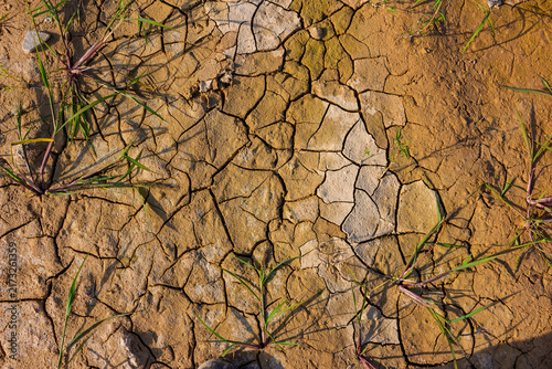 Bild auf Leinwand Deep cracks run across parched, arid earth surface creating a raw textured patte