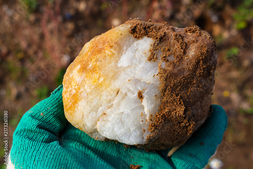 Cuadro en lienzo Raw semi-transparent vein quartz specimen featuring natural iron oxide staining