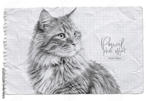 Texture Pencil Photo Effect