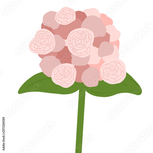 Pink Flower Bouquet Hand Drawn Floral Illustration Isolated on Transparent Background