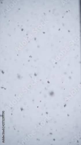 Heavy snowfall against a grey cloudy sky on a cold winter day