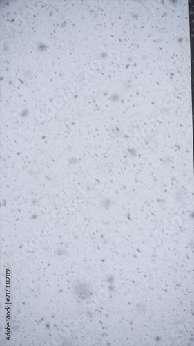 Snowflakes falling gently against a bright overcast winter sky