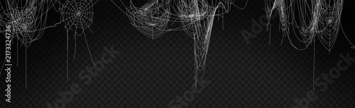 Fotografía Realistic spider web on transparent background, hanging cobweb decoration, tangl