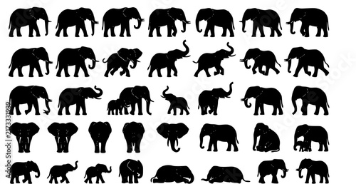 Photography African and Asian elephant silhouette different poses vector collection