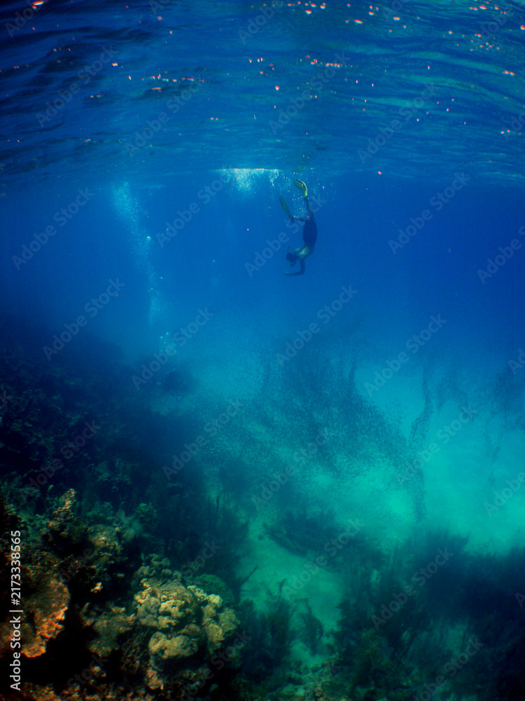 Fototapeta premium Young Man Snorkeling Above a Coral Reef in the Caribbean Sea