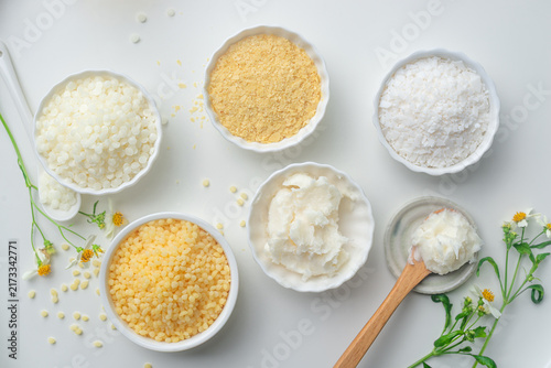 Variety of plant-based vegan waxes and shea butter for natural cosmetic ingredients