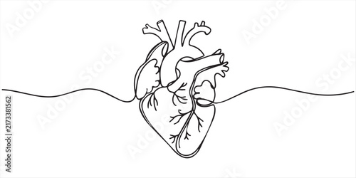 Minimalist Continuous One Line Drawing of an Anatomical Human Heart. 