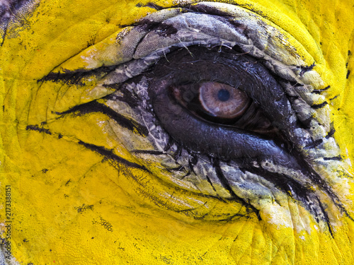 Close up of elephant's eye and face painted yellow for Holi Festival