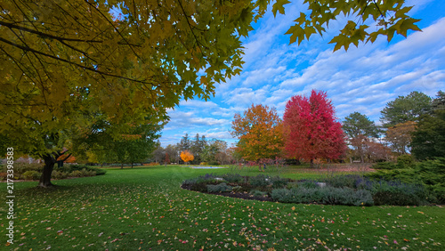 Photography James Gardens during autumn foliage season in Toronto Canada