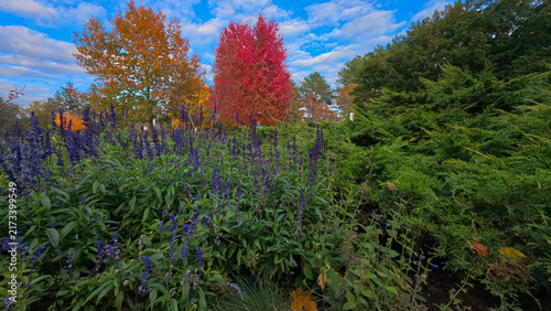 Beautiful autumn scenery in James Gardens during daylight