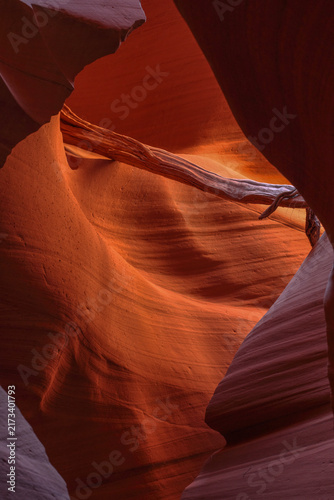 Beautiful vertical abstract view of a sandstone slot canyon with a wedged dead tree branch