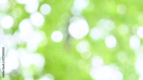 新緑の木漏れ日の様子。爽やかな光の風景。ゆらゆら揺れる光。風に揺れる葉っぱ。木陰の風景。スローモーション。
