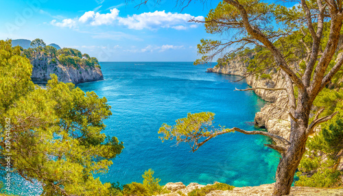 Quadro su tela Calanque de Port Pin, framed by windswept pine trees, dramatic limestone cliffs and crystal-clear turquoise sea, is ideal for travel and nature projects