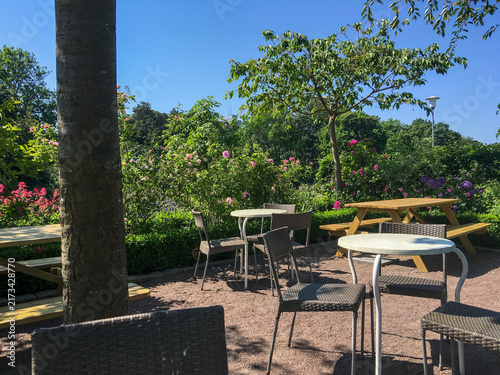 Empty café terrace in a blooming rose garden