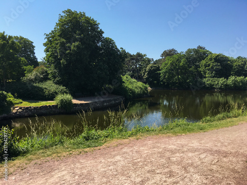 Tranquil park pond on a sunny summer day