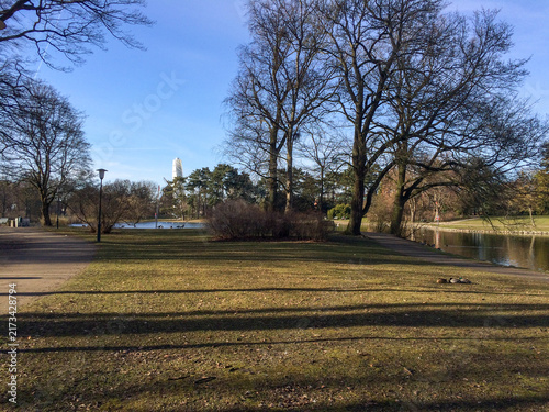 Mallard ducks resting near pond, Turning Torso, Malmö