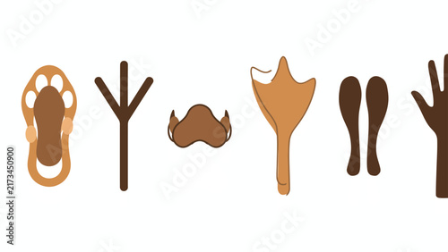 Fotografie Animal Paw Prints and Bird Tracks Vector Set with Webbed Feet, Hoof Marks, and C