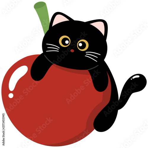 Black cats and cherry 