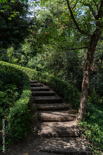 Stepway in the summer forest