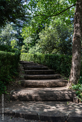 Stepway in the summer forest