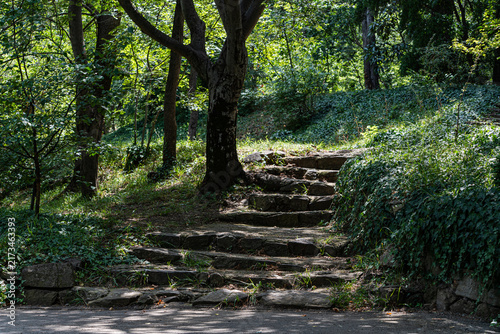 Stepway in the summer forest