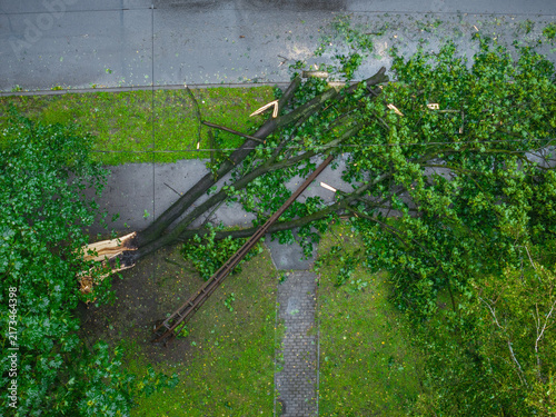 Aerial view of storm-felled trees blocking a sidewalk and leaning against a utility pole in an urban area after a storm in Riga, Latvia.