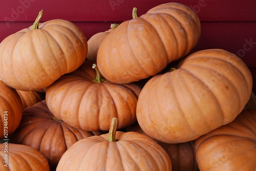 Cheese pumpkins at the farmers market in the fall