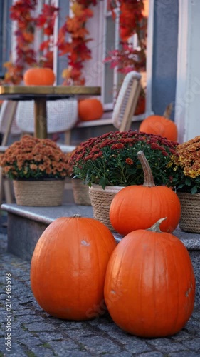 Sustainable autumn porch decor with pumpkin and chrysanthemum