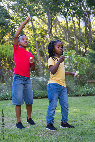Obraz na plátne Two African American boys playing with bubble wands and bottles on grassy lawn,