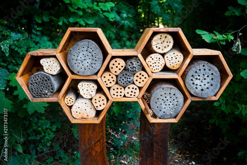 Insect Hotel in a Park Promoting Biodiversity and Environmental Protection