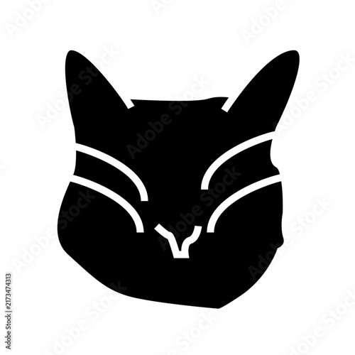 vector illustration of a black cat
