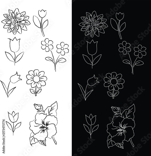 Hand Drawn Botanical Flower Line Art Collection, Minimal Floral Outline Illustrations for Botanical Design