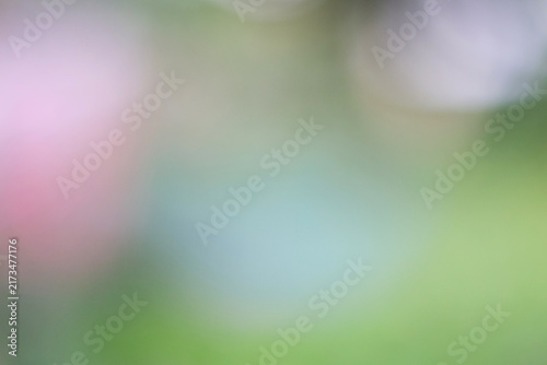 Konstfotografi Abstract soft focus background with pastel green and pink blurred light gradient